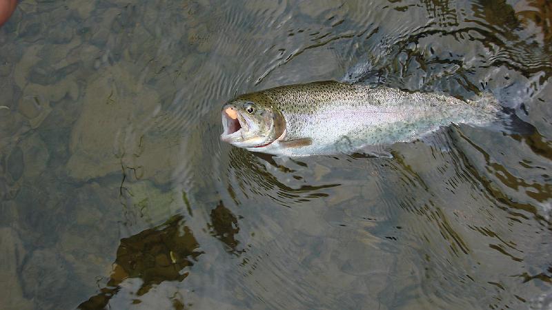 Kettle Rainbow2.JPG